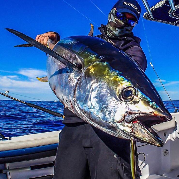 FishTipsDaily tweet picture