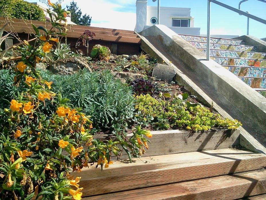 GardenSteps's tweet photo. New virtual tour of #SanFrancisco #HiddenGardenSteps &amp; other resources now on our blog: http://t.co/iA26ZGiT6c http://t.co/vJHLgwY8OG