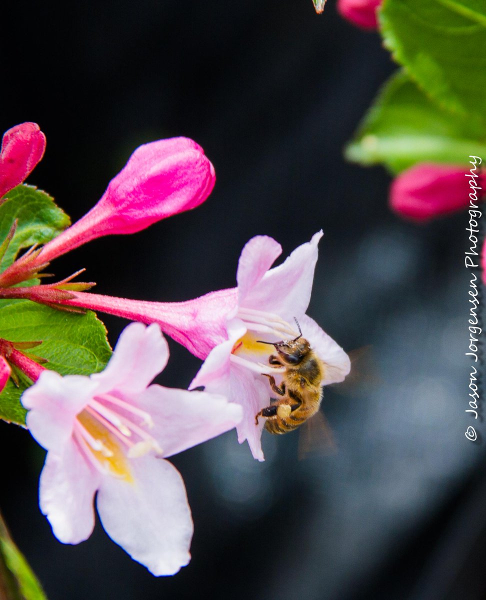 StudioJorgensen's tweet image. Went to the Corn Hill Nursery yesterday and had a great time with Mom and Mel! I took a few pics too!