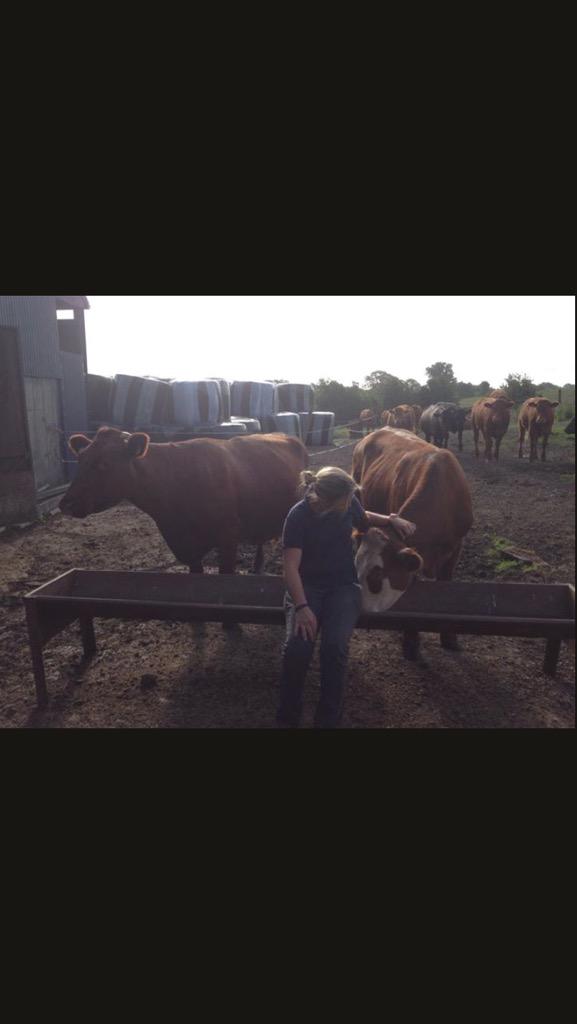 Finally worked out how to copy FB Find our livestock posts-
facebook.com/permalink.php?…