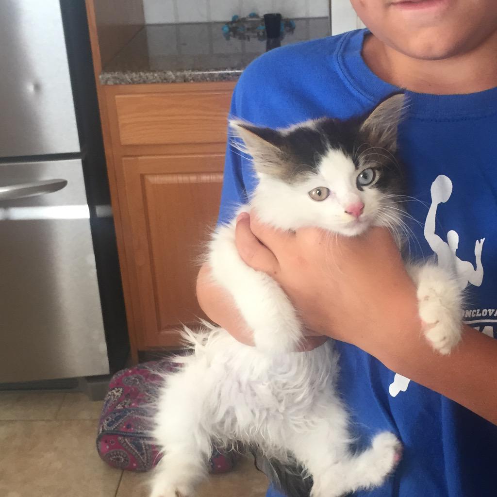  Happy Birthday from Max the kitty! 