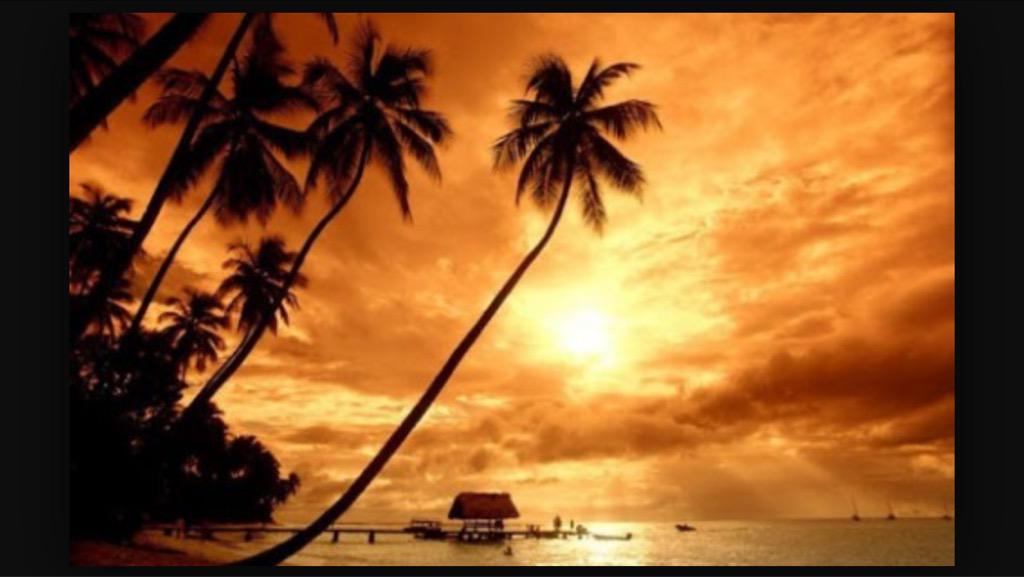 LexProctor's tweet image. Cool view