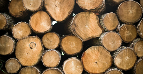 #TMW specialist Kevin DeMars of Attica Millworks, on the rise of thermally modified wood --->  bit.ly/1e2EIfS