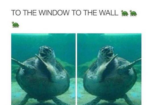 JSae (@sae_myname) on Twitter photo 