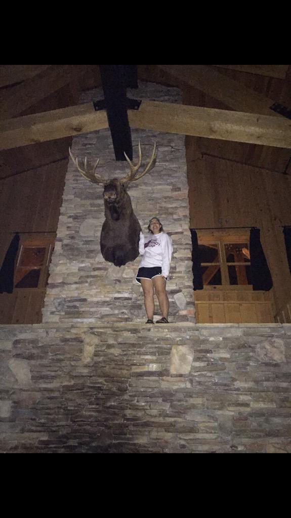 collcoon's tweet image. i made a friend at timby