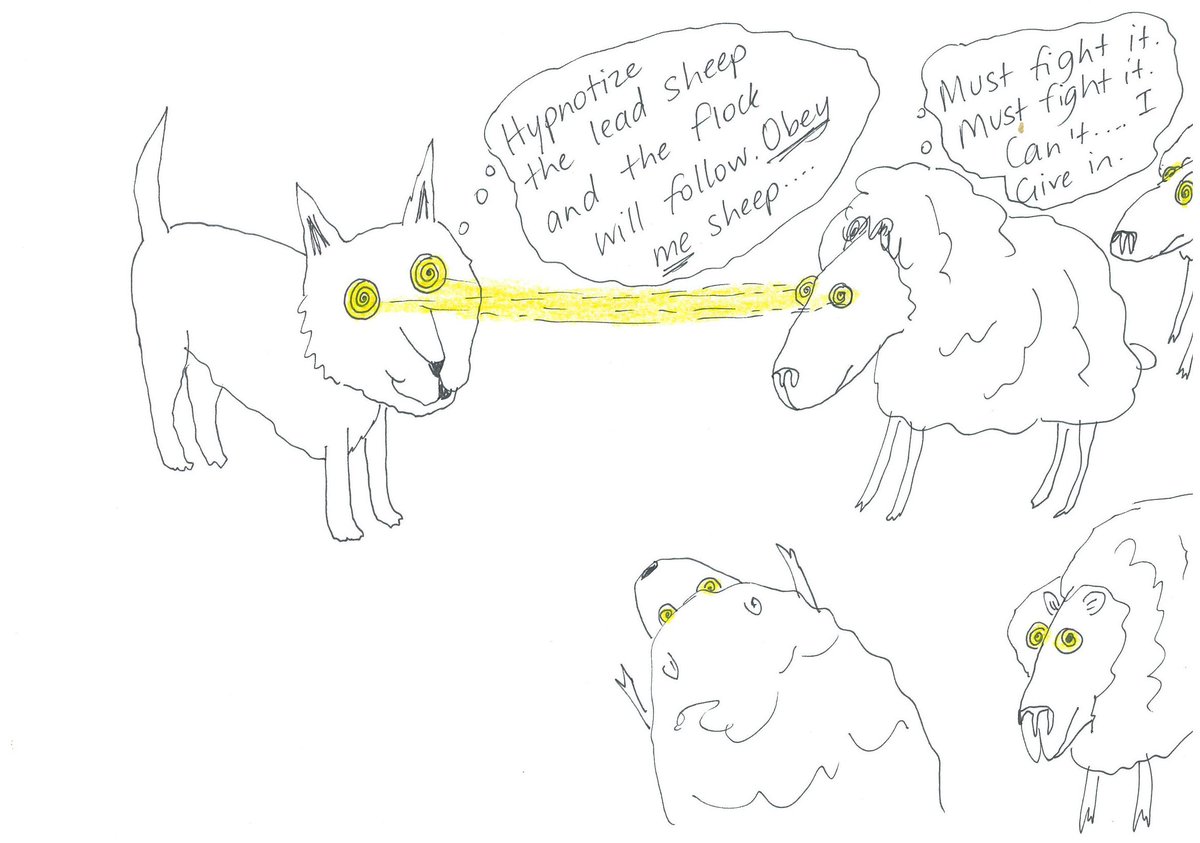 dreadlockdogman's tweet photo. Does your dog hypnotize you? Is winning points getting you to stare obediently back! #dogs #dogtips #DogTraining http://t.co/Edsm8D7vr4