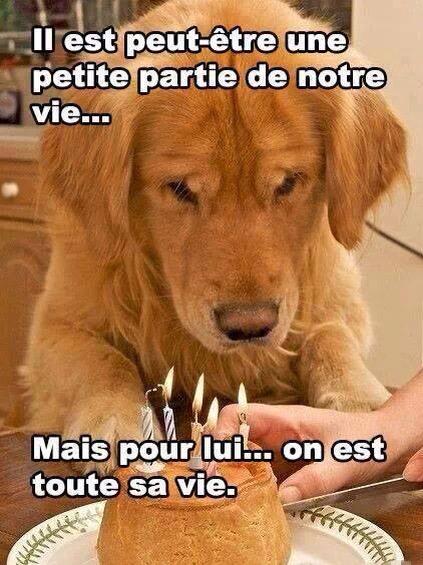 FoxEylar's tweet photo. Big part of me 💘🐕 http://t.co/4jffHhxBWe
