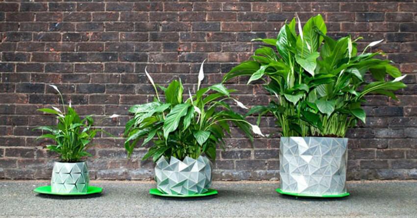DlD_YOU's tweet photo. Shape-Shifting ‘Origami’ Pots That Grow Together With Your Plants | http://t.co/21EsUgPPEK http://t.co/7EbRv4egoF http://t.co/7C9YEk8vEa