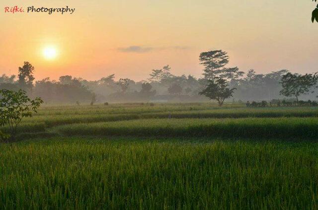 Inilah yg indah saat melihat matahari pagi sob, So get up early and see the natural beauty of our