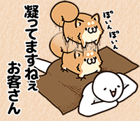 ボンレス犬「慈」のラインナップをチョイ出し紹介。
ご褒美系三種。
配信はもう少しお待ちください('・ω・`;) 