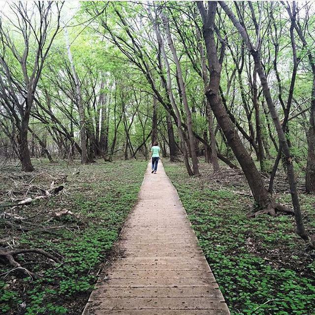 lumen8mpls's tweet photo. Lead the way @danamarieku http://t.co/89emCfQZSq