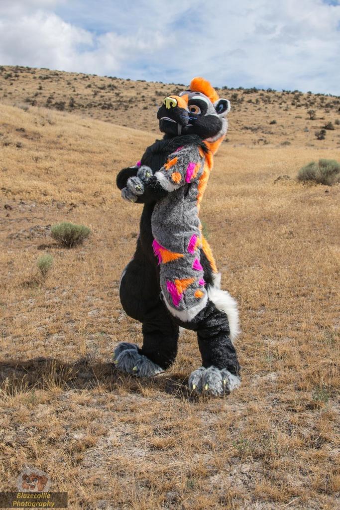 blazecollie's tweet photo. in the barren "I don't give a fuck desert" we see the newest species of digital sabertooth cat. #ByteKat http://t.co/8AcRTOBJmi