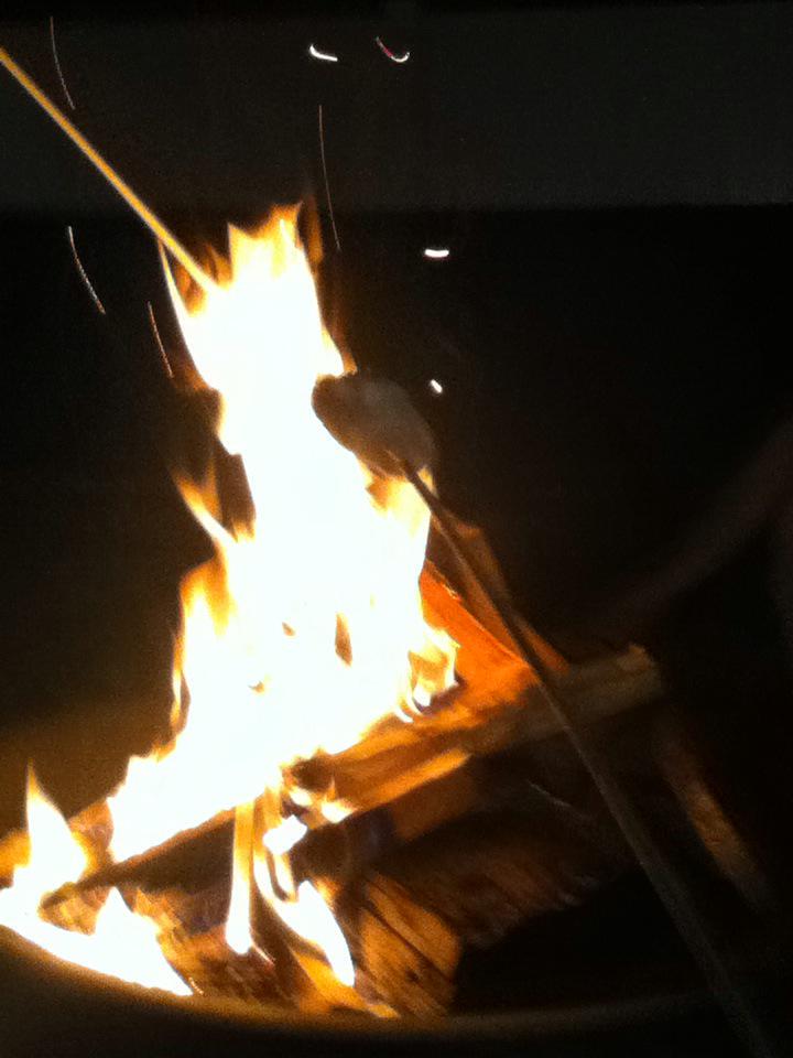 wildfire_03 tweet picture