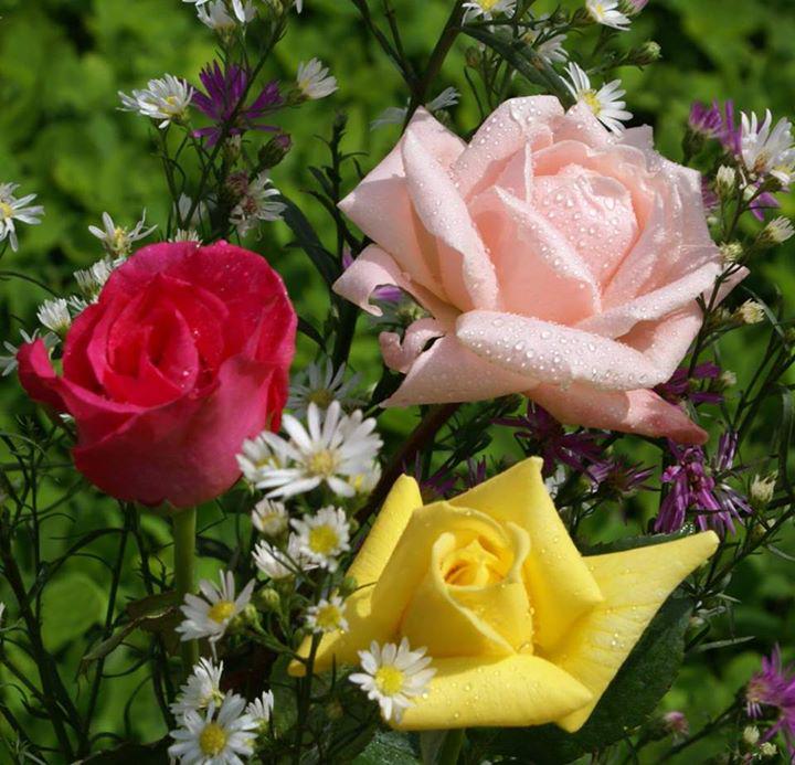 <a href="/JenaC2/">Jena C.</a> @patyie66 @CarluzCh <a href="/KmPasso/">@CLUBEFOLLOWBACK</a> @silviadomi22 @bovb51 <a href="/n4dZq3z03hViqc3/">細川直樹</a> @SusanaMattas <a href="/cattyg80/">Mexicanita d corazón</a> <a href="/jeannea17/">Jeanne</a>