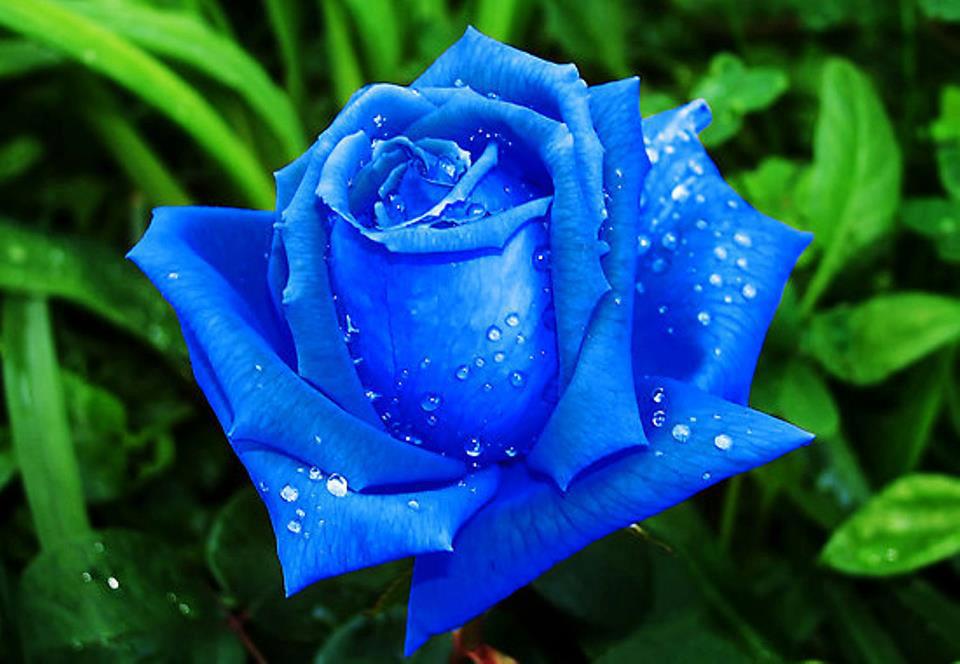 SasiahR's tweet photo. @arianagaannde hey do you want to be friends yes or no write back please http://t.co/oc6N2WRGdV