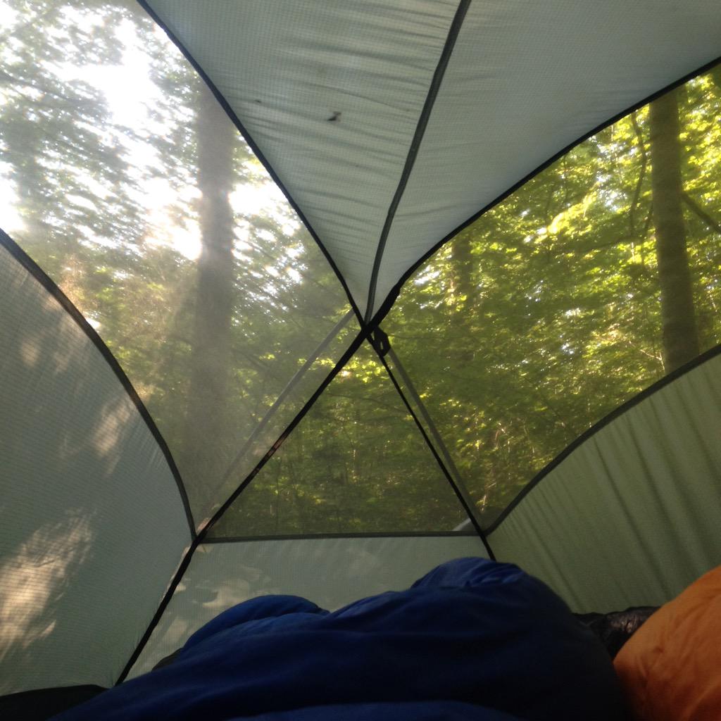 runemma's tweet photo. Good morning Swiss woodland!! Time to rise and shine. Heading to #Austria today. #bike #europe #EBCrides http://t.co/QW5XUtFYYg