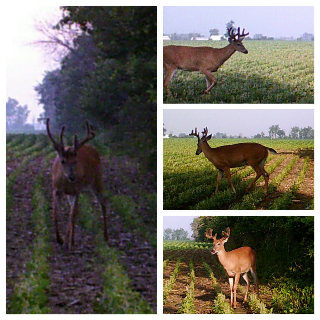 lanctot_a's tweet photo. Got a few potential shooters this year. #isitoctoberyet http://t.co/Rve8gI2DPf