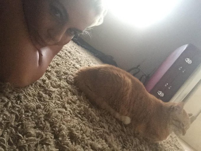 Oh and fact: he's hearing me replay it... Not pleased ...Fucker just bit my hair😂... http://t.co/bKn<a href="/tag/starwars"class="tags"><span>#starwars</span></a><a href="/tag/cosplayfunwithcrawford"class="tags"><span>#cosplayfunwithcrawford</span></a>