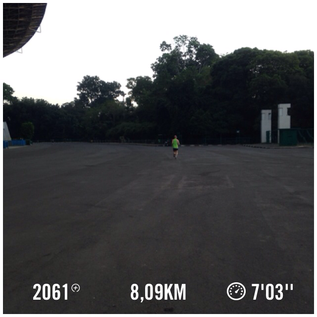 I just ran 8,09 km @ a 7'03''/km pace with Nike+. #nikeplus