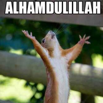 Bsk lebaran?gilak puasa taun ini cpt bgt.berasa cmn sret aja gt,wkkw.minal aidin wal faidzinO:).