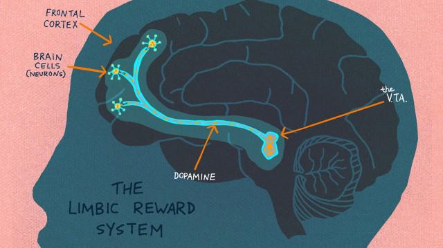 What’s Going on Inside the Brain Of A Curious Child? ow.ly/PFvCU #edchat #brain #curiosity #ptchat