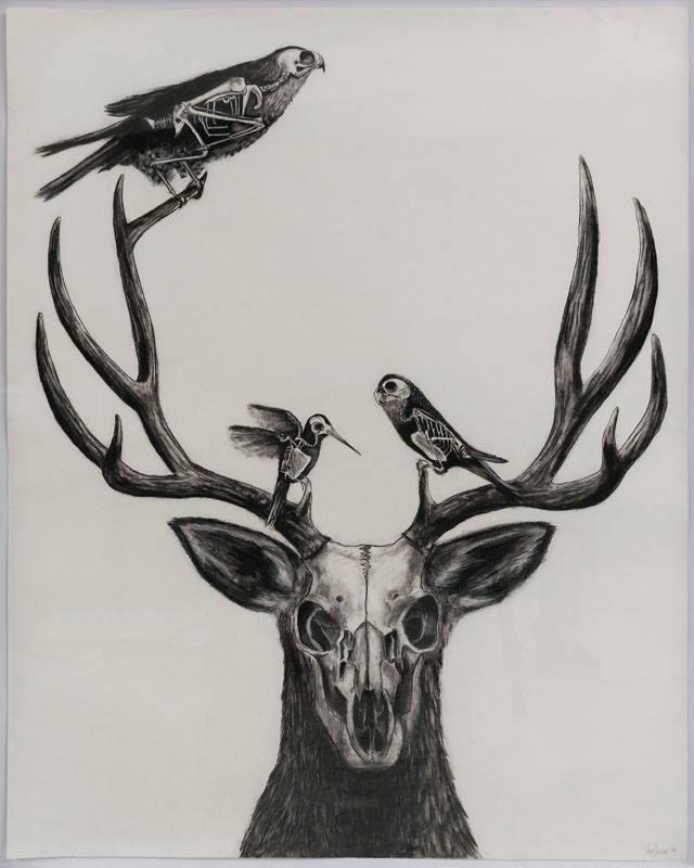 papelerialumen's tweet image. Te esperamos mañana en la inauguración de #Parámetro a las 19:30hrs en @Carrillo_Gil Entrada libre.