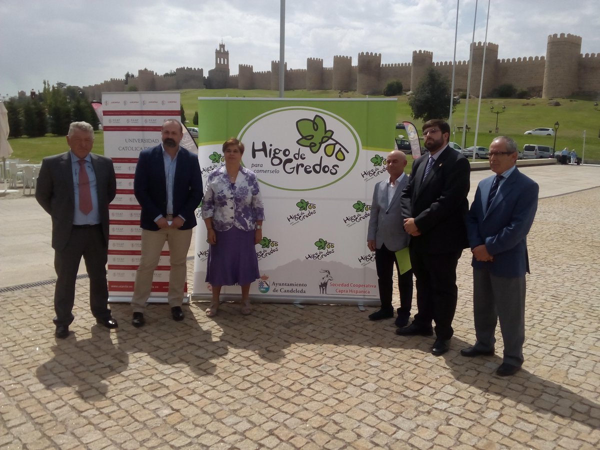 Se presenta el estudio justificativo para que el higo de Gredos(de momento solo higo fresco) tenga Marca de Garantía