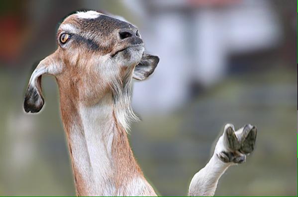 eRa_Awlo's tweet image. 