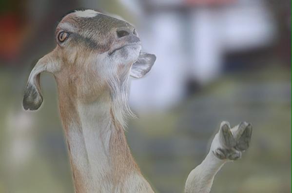 eRa_Awlo's tweet image. 