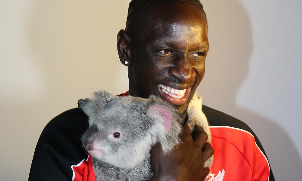 LFC's tweet photo. GALLERY: Sakho, Toure and Ojo meet #LFC fans - and koalas - in Brisbane #LFCTour
http://t.co/wtBMpxxKXa http://t.co/6nW45Nt8Kv