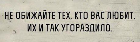 Угораздило же. Их и так угораздило не обижайте. Угораздило это. Куда пропадают коты в частном доме. Не обижай тех кто тебя любит их и так угораздило.