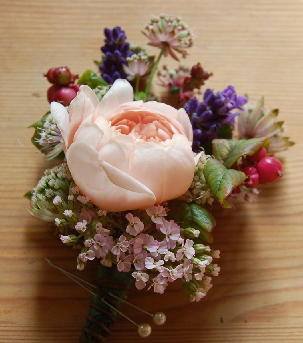 In Bloom Devon (@InBloomDevon) / Posts / X