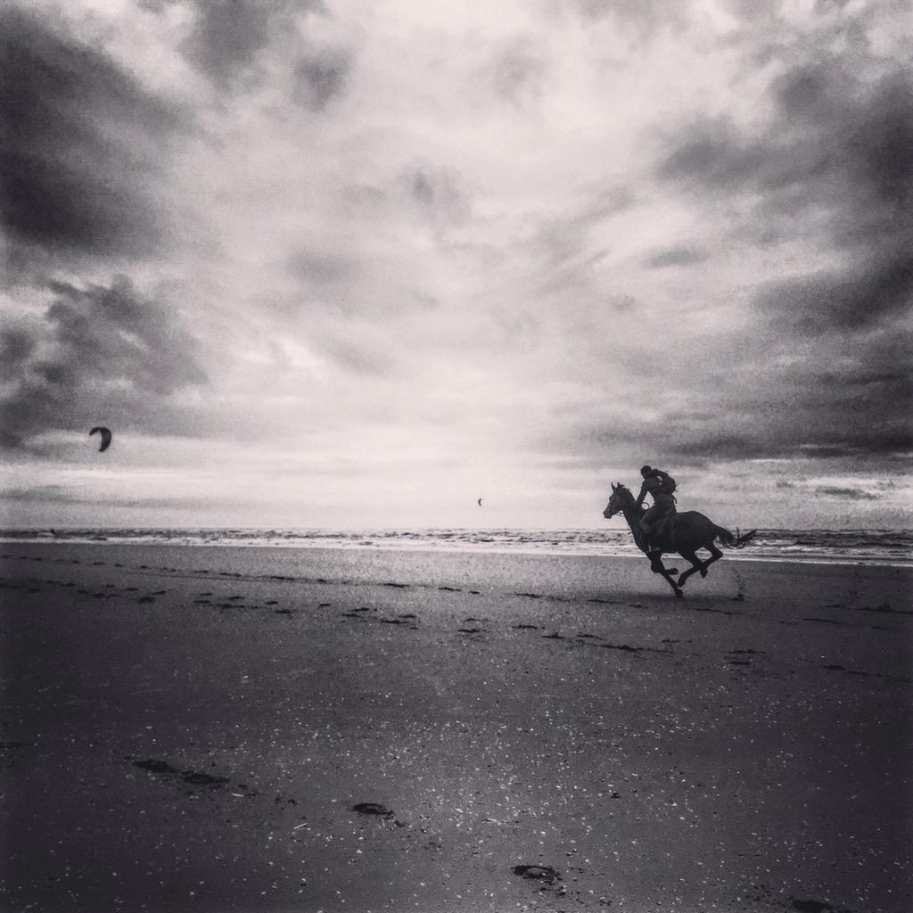 Evelyne Berezovsky tweet media