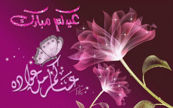 SheryGohar's tweet photo. http://t.co/gm4NKUA88v