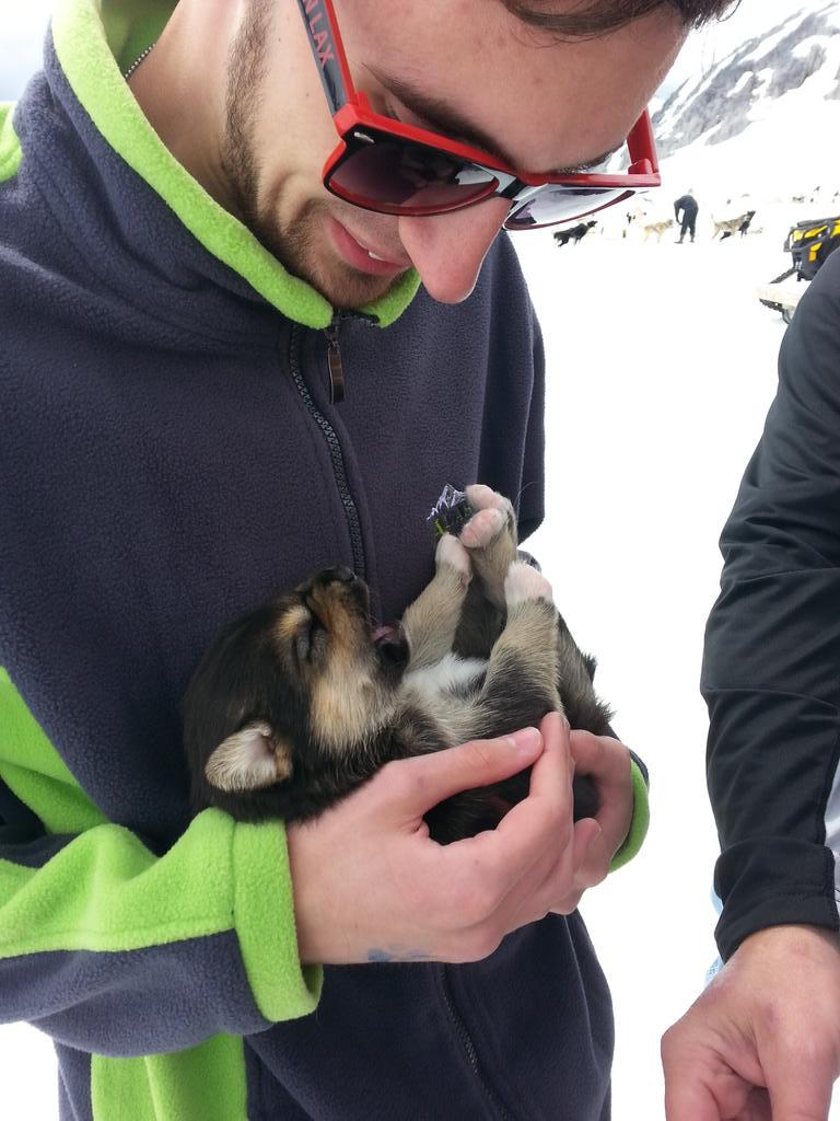 Dog sledding!  Helicopter ride!  On Mendenhall glacier!  In  Juneau Alaska!   Best trip ever!!