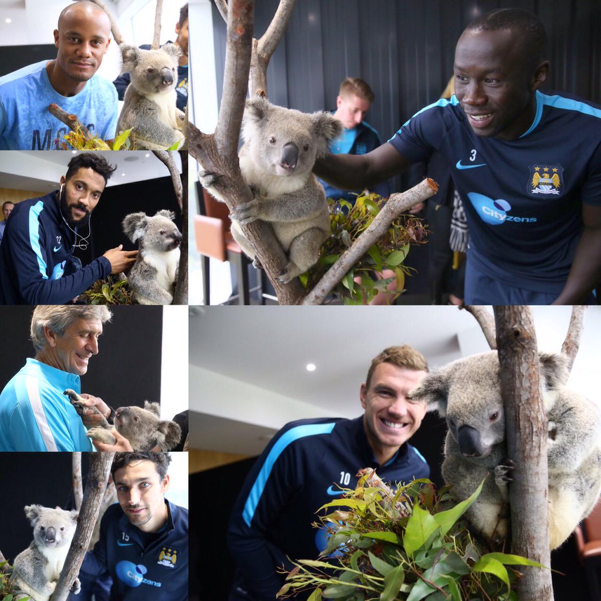 ManCity's tweet photo. While you were sleeping back home... #cityontour http://t.co/y8yowxMe7p