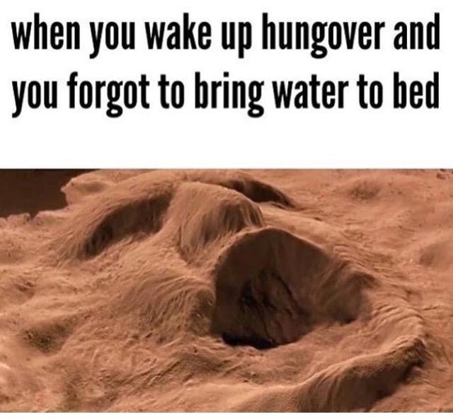 KATE LAWLER: This will be me on Saturday morning :-/