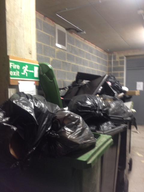 hfwhell's tweet photo. #worstsummer2013 #housingassociation #nuisance #smell #communalbin #defectiveproperty #sickness http://t.co/wbdQSQhon9