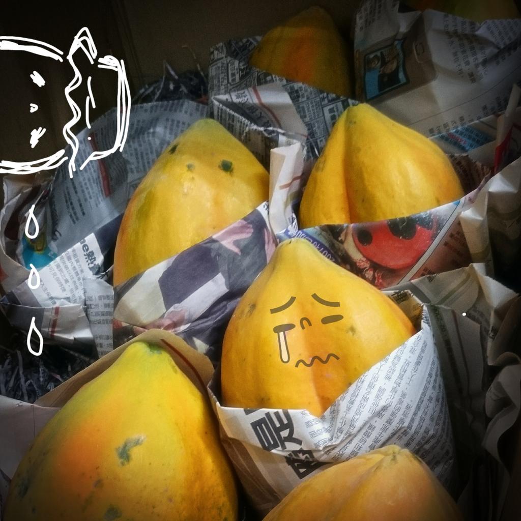 bernice_kuo68's tweet photo. I want papaya milk but is cafe's day off :(
#papayamilk #Taiwan #fruit #craving #want #dayoff #Sadness #disapointed http://t.co/vftbFfZvoJ
