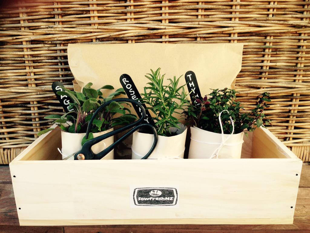 SowFreshNZ's tweet photo. Come and visit us at the Birkenhead Markets on Saturday and get your hands on one of our gorgeous new herb kits. http://t.co/JCWwyZWjEp