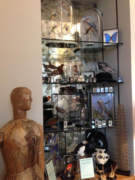 Fabulous cabinet of curiosities by the ethical <a href="/londontaxidermy/">alexis turner</a> <a href="/OSPREYLONDON/">OSPREY LONDON</a> - well worth a visit #antiques