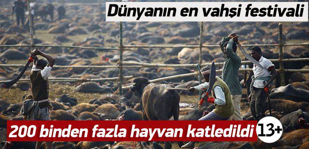Haber7's tweet photo. Dünyanın en vahşi festivali (+13) http://t.co/SrwsKukO4A http://t.co/Jy4DjQjyDa