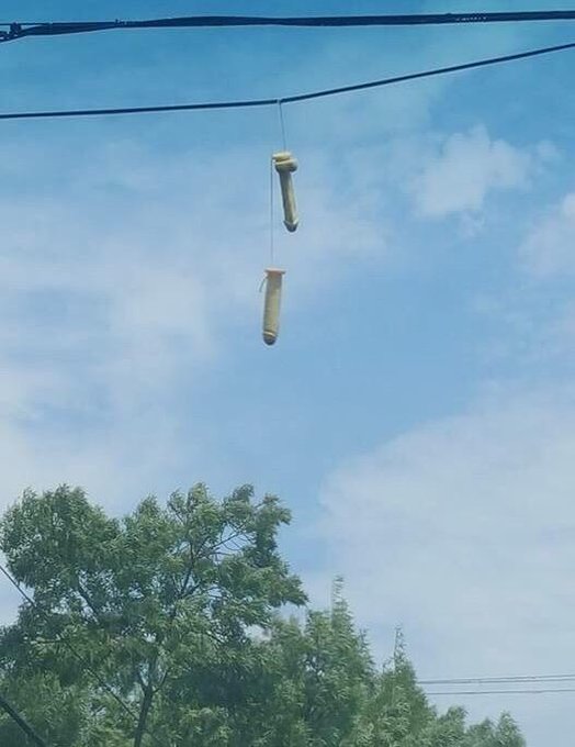 Ver imagen en Twitter