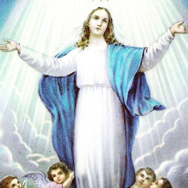 Madonna's tweet photo. Bitch Please..............i'm THE Madonna! ❤️ #rebelheart http://t.co/Zj01M9kI3E