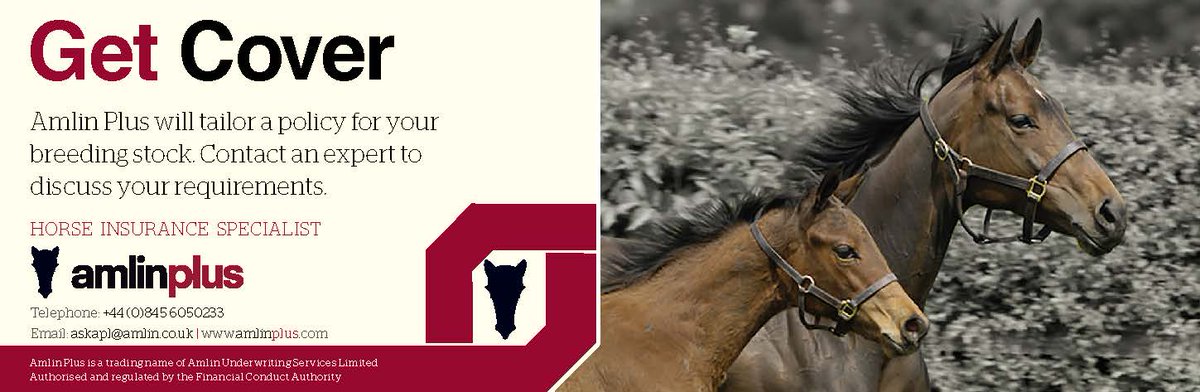 bloodstocknews's tweet photo. Is your breeding stock covered? AmlinPlus will tailor a policy to suit your needs http://t.co/AbPoBS723E