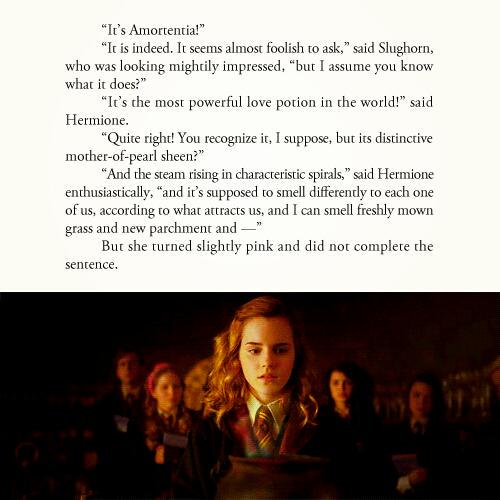 PotterWorldUK's tweet image. The third smell Hermione recognizes in the Amortentia potion is Ron's hair. #10YearsHalfBloodPrince