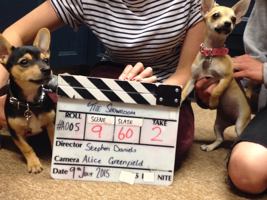 Aleasy's tweet photo. These little lovelies wanted in on the action @LeedsKitchen @thatsteviedguy @MollySharpe16 @cfgeaney http://t.co/96QvH8Nu8U