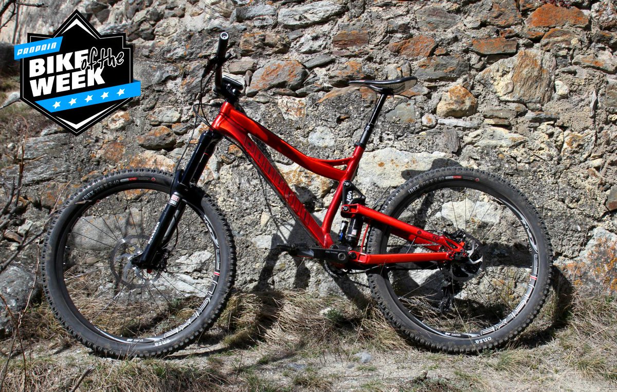 BIKE of the WEEK - KW29

#bikeoftheweek