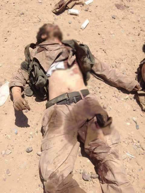 313Osama313's tweet photo. كتيبة(اجناد البغدادي)القوة الضاربه لداعش تباد ب #الفلوجة على يد الحشد الشعبي والقوات الامنيه 
#معركة_الفلوجة_الثالثة http://t.co/0UFAcmkmZj