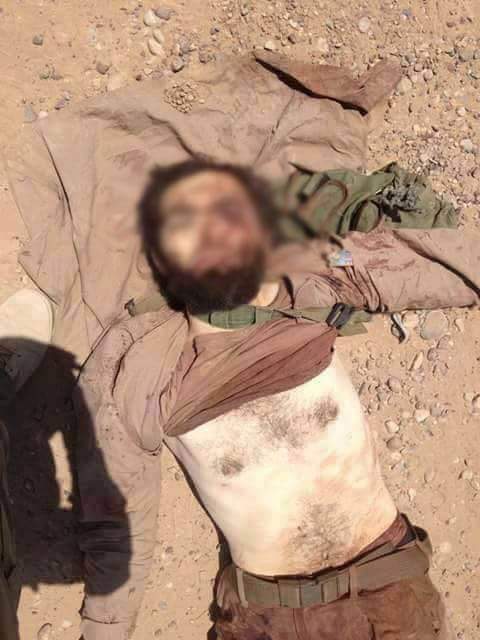 313Osama313's tweet photo. كتيبة(اجناد البغدادي)القوة الضاربه لداعش تباد ب #الفلوجة على يد الحشد الشعبي والقوات الامنيه 
#معركة_الفلوجة_الثالثة http://t.co/0UFAcmkmZj
